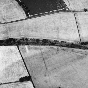 Newstead, Roman fort and temporary camps: air photograph showing Southern annexe (NT 569 341), Eastern annexe (NT 572 343), annexe (NT 571 343), and 40- and 160-acre temporary camp (NT 570 337 and NT 567 337 respectively).
