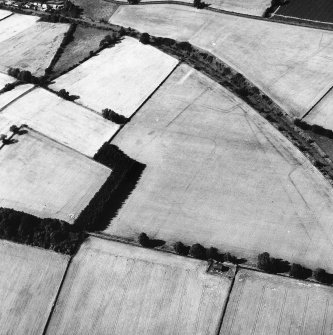 Newstead, Roman fort and temporary camps: air photograph showing Southern annexe (NT 569 341), 'Great camp' complex of temporary camps (NT 574 341), and 40- and 160-acre temporary camps (NT 570 337 and NT 570 344 respectively).
