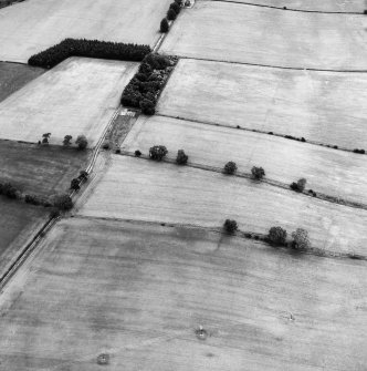 Newstead, Roman fort and temporary camps: air photograph showing enclosure (NT 567 336), and 40- and 160-acre temporary camps (NT 570 337 and NT 570 344 respectively).
