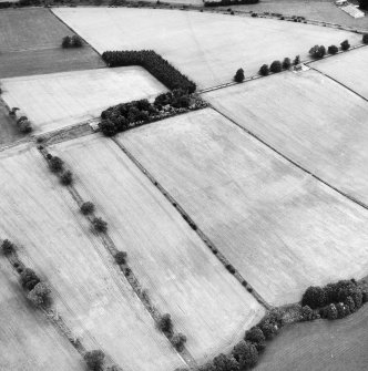 Newstead, Roman fort and temporary camps: air photograph showing 40- and 160-acre temporary camps (NT 570 337 and NT 570 344 respectively).
