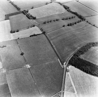 Newstead, Roman forts and temporary camps: RCAHMS air photograph showing enclosure (NT 5691 3369), rectlinear enclosure (NT 5675 3361) and 40-acre temporary camp (NT 570 337)