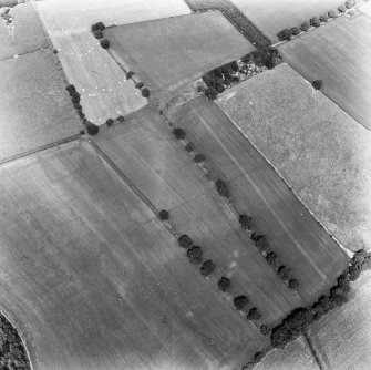 Newstead, Roman forts and temporary camps: RCAHMS air photograph showing enclosure (NT 5691 3369), rectilinear enclosure (NT 5675 3361) and 40-acre temporary camp (NT 570 337)