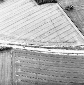 Newstead, oblique aerial view, taken from the N, centred on the southern annexe. The Newstead by-pass (under construction) runs across the photograph.