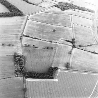 Oblique aerial view of Newstead centred on the cropmarks of a Roman temporary camp with enclosures and linear feature adjacent, taken from the NE.