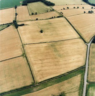 Oblique aerial view centred on the cropmarks of the enclosure with Roman temporary camp and enclosure adjacent, taken from the W.