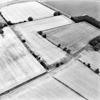 Oblique aerial view centred on the cropmarks of the Roman temporary camp and enclosure, taken from the SSW.