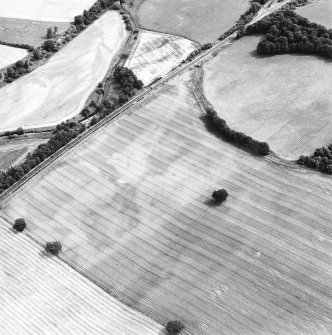 Oblique aerial view centred on the cropmarks of the pit-defined enclosure and field boundary, taken from the W.