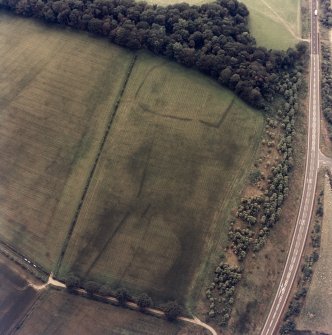 Oblique aerial view