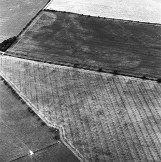 St. Leonard's Hill Roman Temporary Camp, oblique aerial view, taken from the ENE, centred on the cropmark of part of the SW side of the camp.