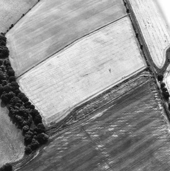 Oblique aerial view centred on the cropmarks of the Roman temporary camp, taken from the N.