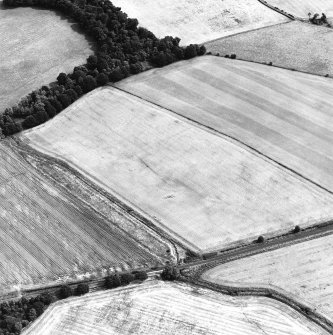 Oblique aerial view centred on the cropmarks of the Roman temporary camp, taken from the W.