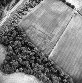 Oblique aerial view centred on the cropmarks of the settlement with enclosure, linear cropmarks and Roman temporary camp adjacent, taken from the WNW.