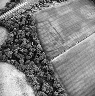Oblique aerial view centred on the cropmarks of the settlement with enclosure, linear cropmarks and Roman temporary camp adjacent, taken from the WSW.