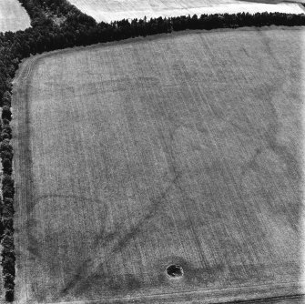 Birkenside, oblique aerial view, taken from the NNE, centred on the cropmarks of an enclosure and a possible enclosure. A third enclosure is visible in the top centre half of the photograph.