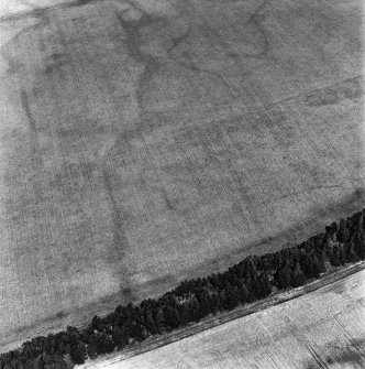 Birkenside, oblique aerial view, taken from the SW, centred on the cropmarks of an enclosure and an enclosure possible.