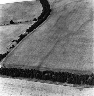 Birkenside, oblique aerial view, taken from the SE, centred on the cropmark of an enclosure.