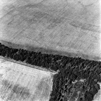 Birkenside, oblique aerial view, taken from the SW, centred on the cropmarks of an enclosure and an enclosure possible.