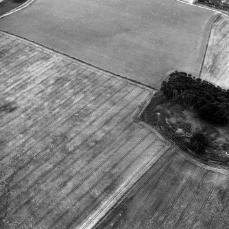 Oblique aerial view