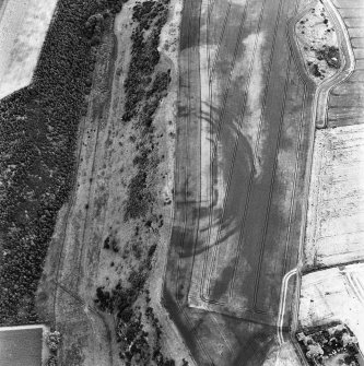 Hanging Craig and Seaton Law forts, oblique aerial view, taken from the W, centred on the cropmarks of the former, and showing the remains of the latter in the top half of the photograph.