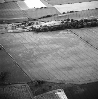 Kaeheughs, Barney Mains, oblique aerial view, taken from the SSE, centred on the remains of a fort and on the cropmarks of an enclosure and pit-alignments.