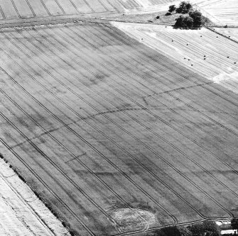 Oblique aerial view of Kaeheughs, Barney Mains, showing cropmarks of enclosure and pit-alignments
