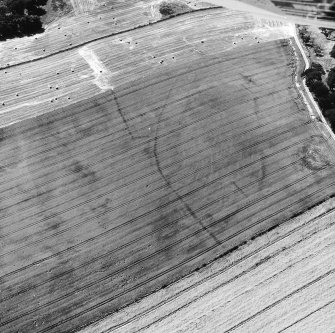 Kaeheughs, Barney Mains, enclosure and pit-alignments: oblique air photograph of cropmarks.
