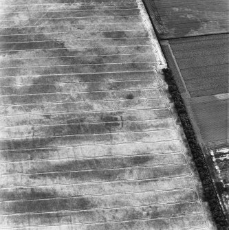 Drem, oblique aerial view, taken from the NNW, centred on the cropmark of an enclosure. Further cropmarks including a ring-ditch and enclosure are visible in the top half of the photograph.