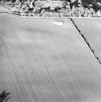 Oblique aerial view centred on the cropmarks of the pit-alignments with the remains of the fort adjacent, taken from the SSE.