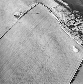 Oblique aerial view centred on the cropmarks of the pit-alignments with the remains of the fort adjacent, taken from the ESE.