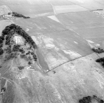 Kaeheughs, Barney Mains, fort and pit-alignments: oblique air photograph of cropmarks.
