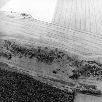 Oblique aerial view centred on the cropmarks of the forts, taken from the NNW.