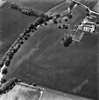 Oblique aerial photograph