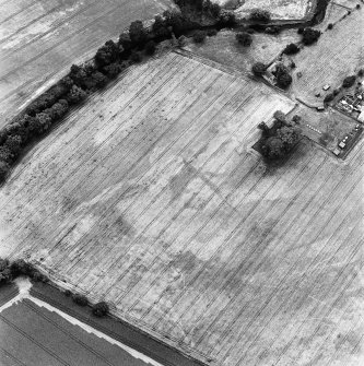 Abbeymill, oblique aerial view, taken from the NE, centred on cropmarks. Further cropmarks, and the sites of St Mary's nunnery and a burial-ground, and Abbey Mill, are visible in the top left-hand corner of the photograph.