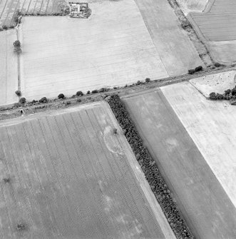 Oblique aerial view of Fortoun Bank centred on the cropmarks of a possible enclosure, taken from the ENE.