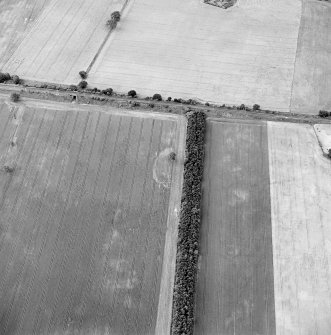 Oblique aerial view of Fortoun Bank centred on the cropmarks of a possible enclosure, taken from the NE.