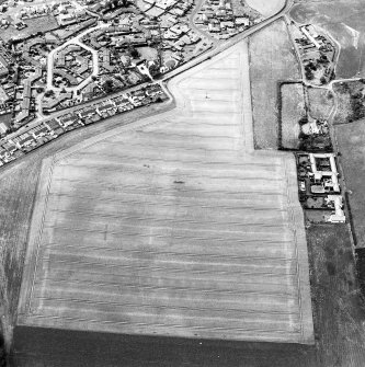 Oblique aerial view centred on the cropmarks of the linear cropmarks and cursus, taken from the ENE.