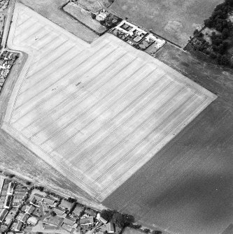 Oblique aerial view centred on the cropmarks of the linear cropmarks and cursus, taken from the ESE.