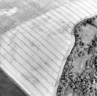 Oblique aerial view centred on the cropmarks of the fort, taken from the SSW.