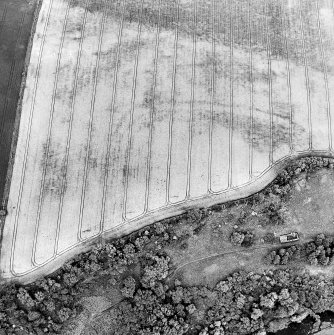 Oblique aerial view centred on the cropmarks of the fort, taken from the SE.