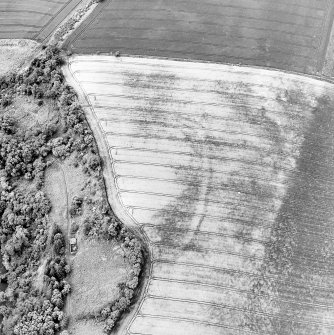 Oblique aerial view centred on the cropmarks of the fort, taken from the NE.