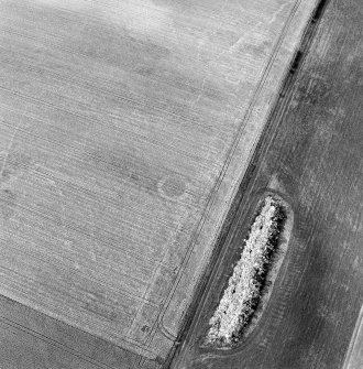 Oblique aerial view.