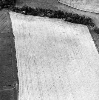 East Bearford, oblique aerial view, taken from the NE, centred on the cropmark of a settlement.