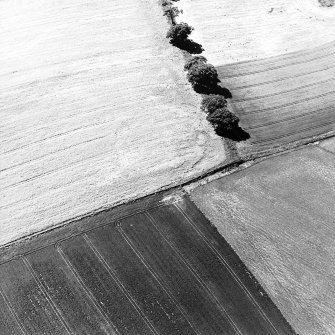Oblique aerial view of Chesters centred on the cropmark of a fort.  Taken from the E.