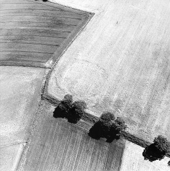 Oblique aerial view of Chesters centred on the cropmark of a fort.  Taken from the NW.