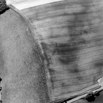 Oblique aerial view of Garvald centred on the cropmark of an enclosure.  Taken from the NE.