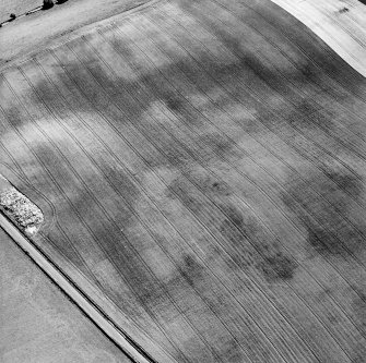 Oblique aerial view of Priest Bank centred on a subcircular cropmark, with the cropmark of an enclosure adjacent.  Taken from the NW.