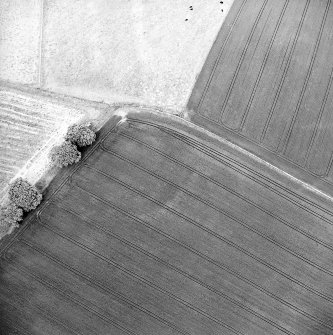 Oblique aerial view centred on the cropmarks of the settlement, taken from the SW.