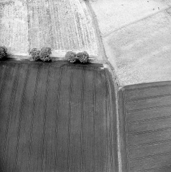 Oblique aerial view centred on the cropmarks of the settlement, taken from the SSE.