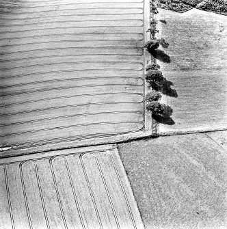 Oblique aerial view centred on the cropmarks of the settlement, taken from the ENE.