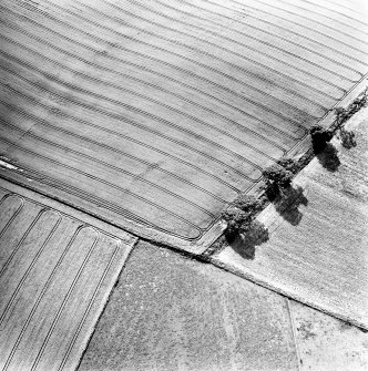 Oblique aerial view centred on the cropmarks of the settlement, taken from the NE.